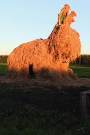 De Gloeiige